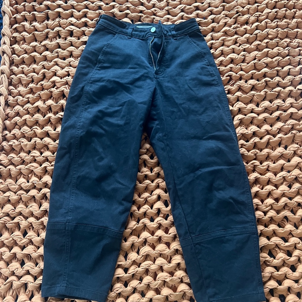 Everlane The Utility Barrel Pant in Black